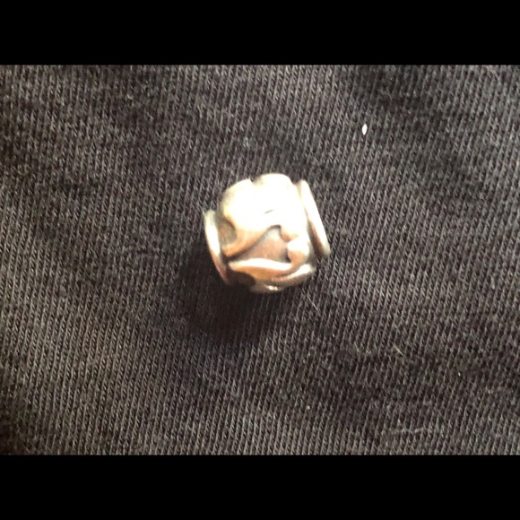 Pandora charm - Picture 1 of 2